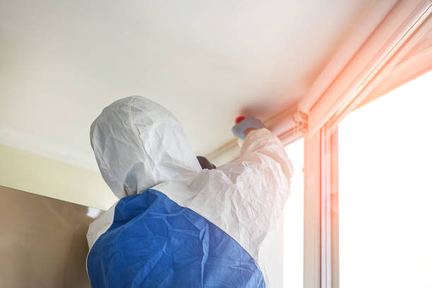 Best Asbestos and Lead Testing During Mold Inspection  in Prestonsburg, KY