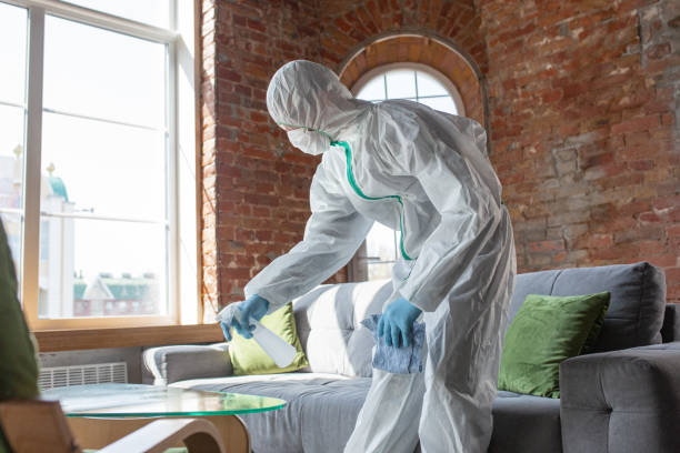 Best Mold Odor Removal Services  in Prestonsburg, KY